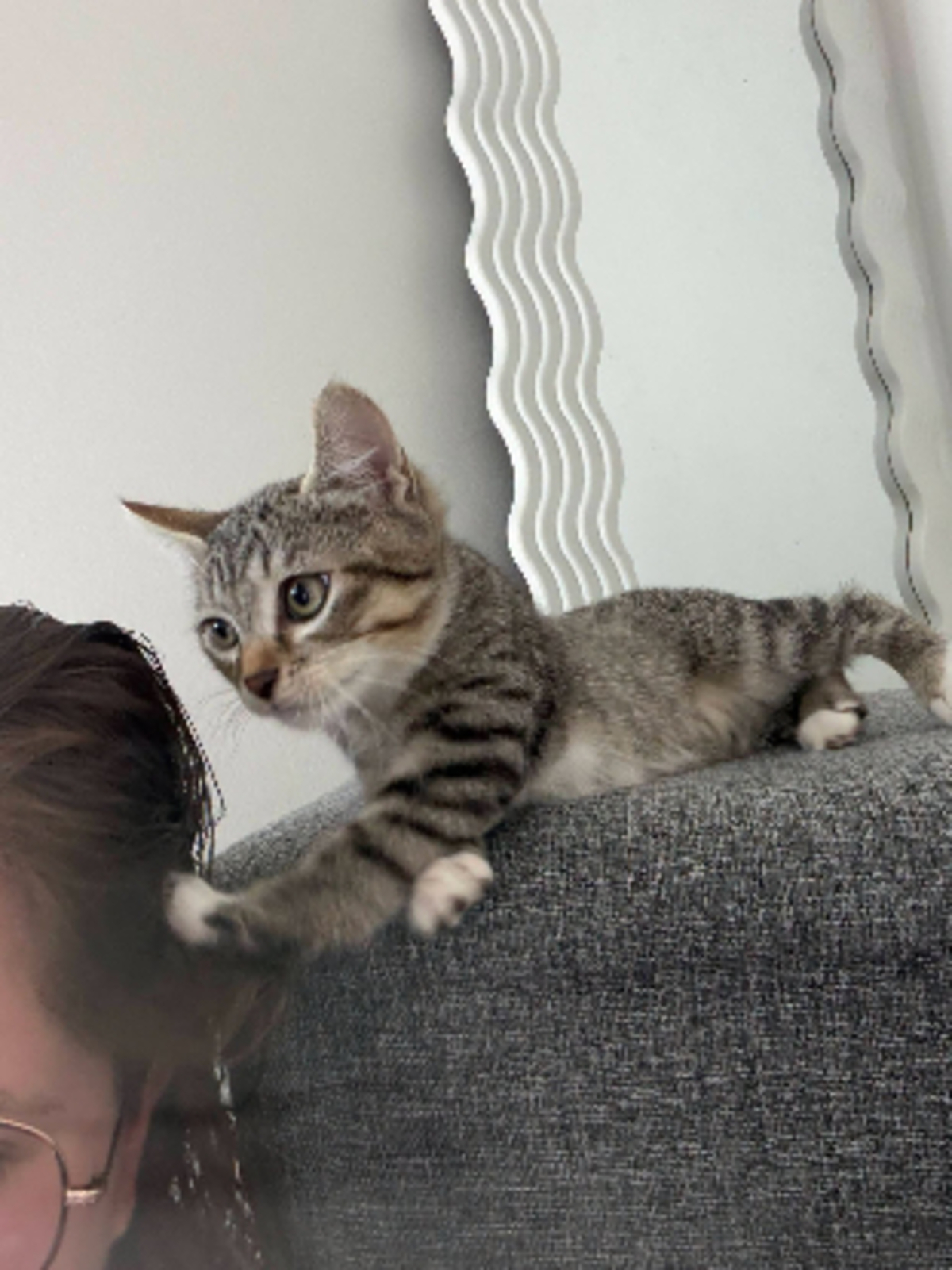 Adoption Buddy