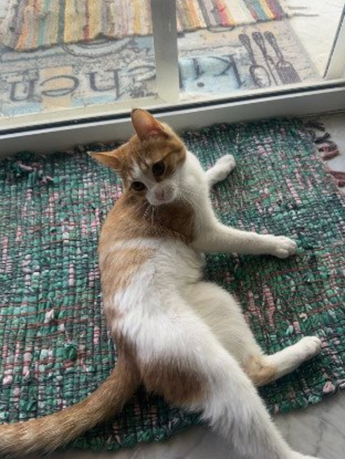 Adoption Butters