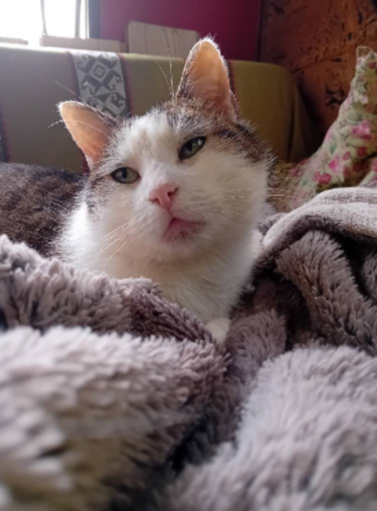 Adoption Chantal