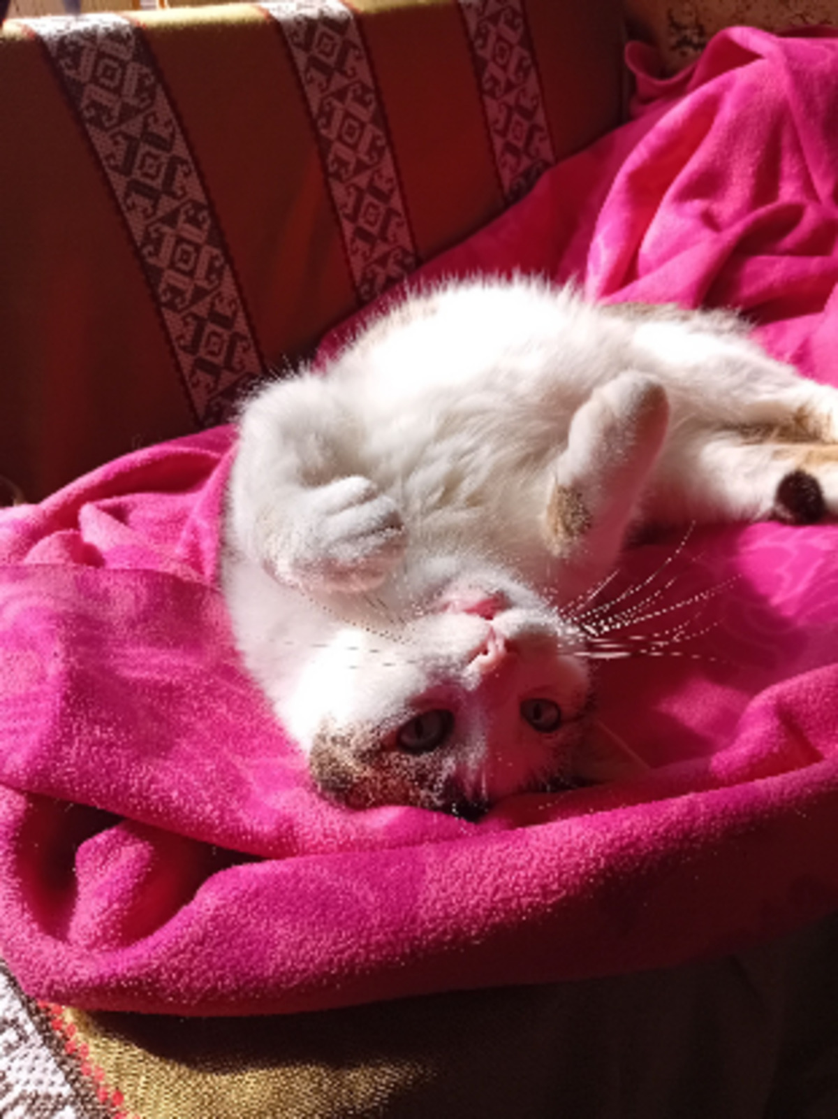Adoption Chantal