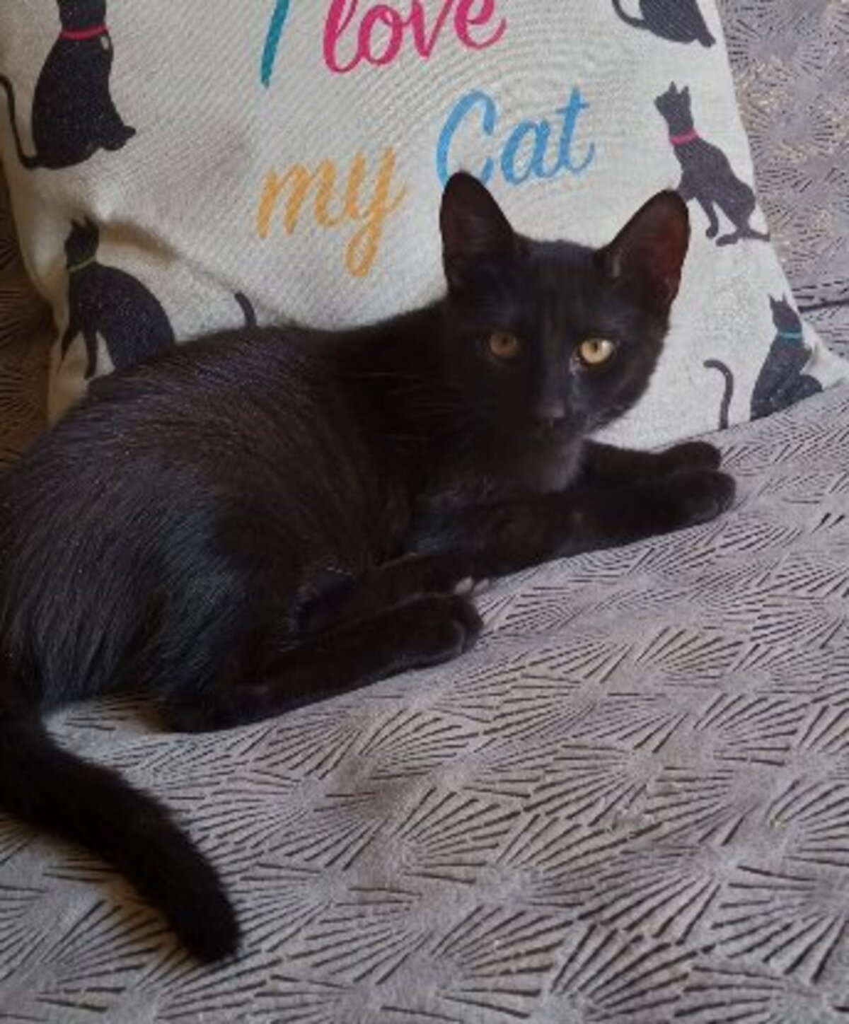 Adoption Charlot