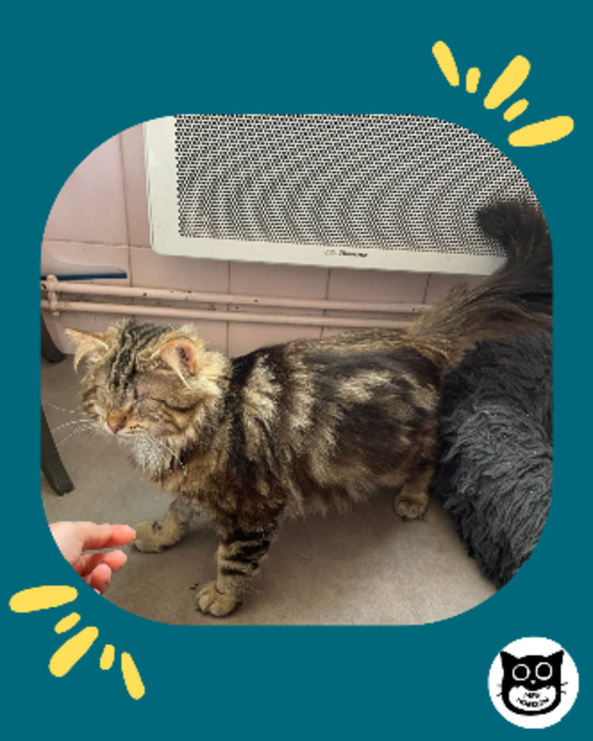 Adoption Din