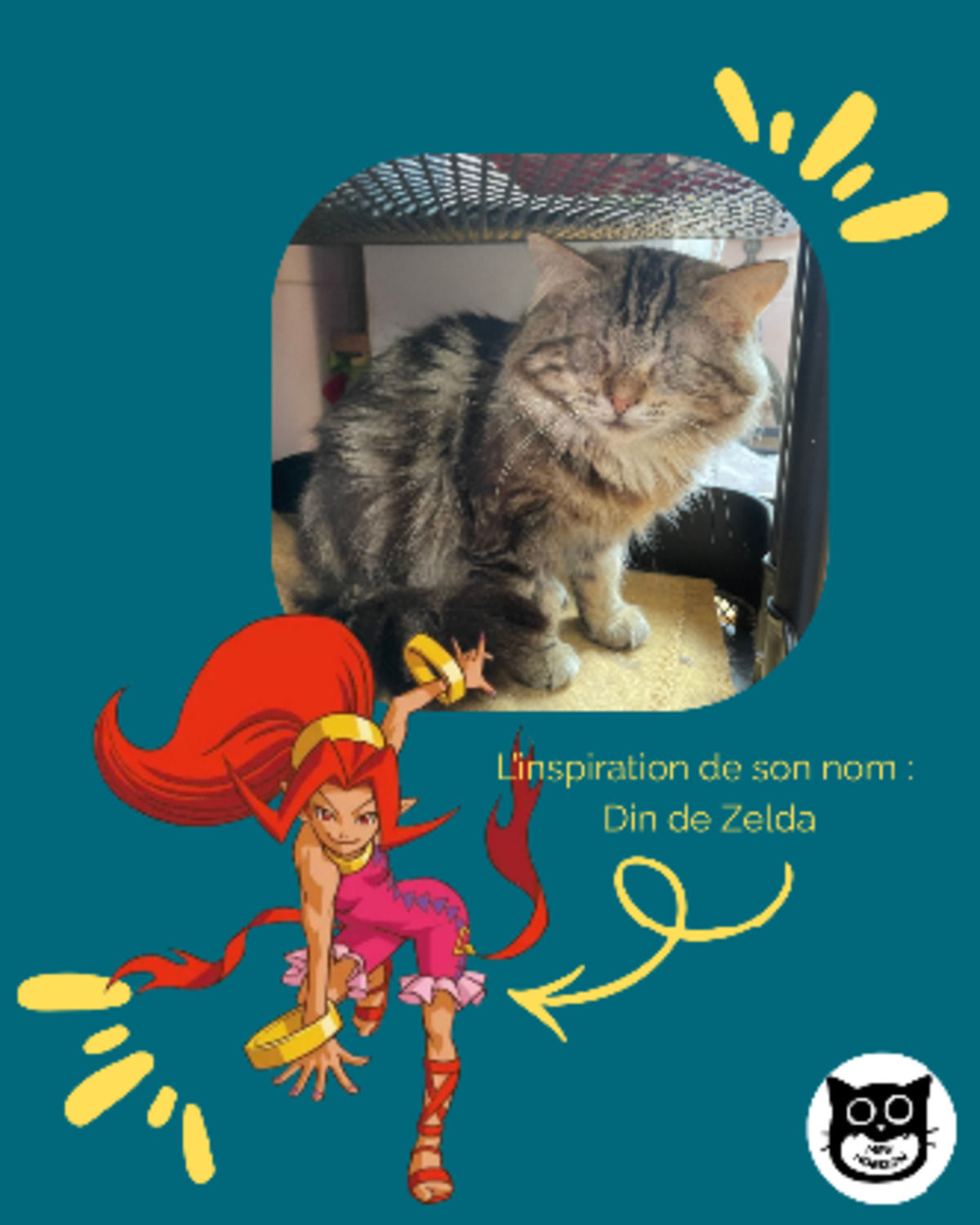 Adoption Din