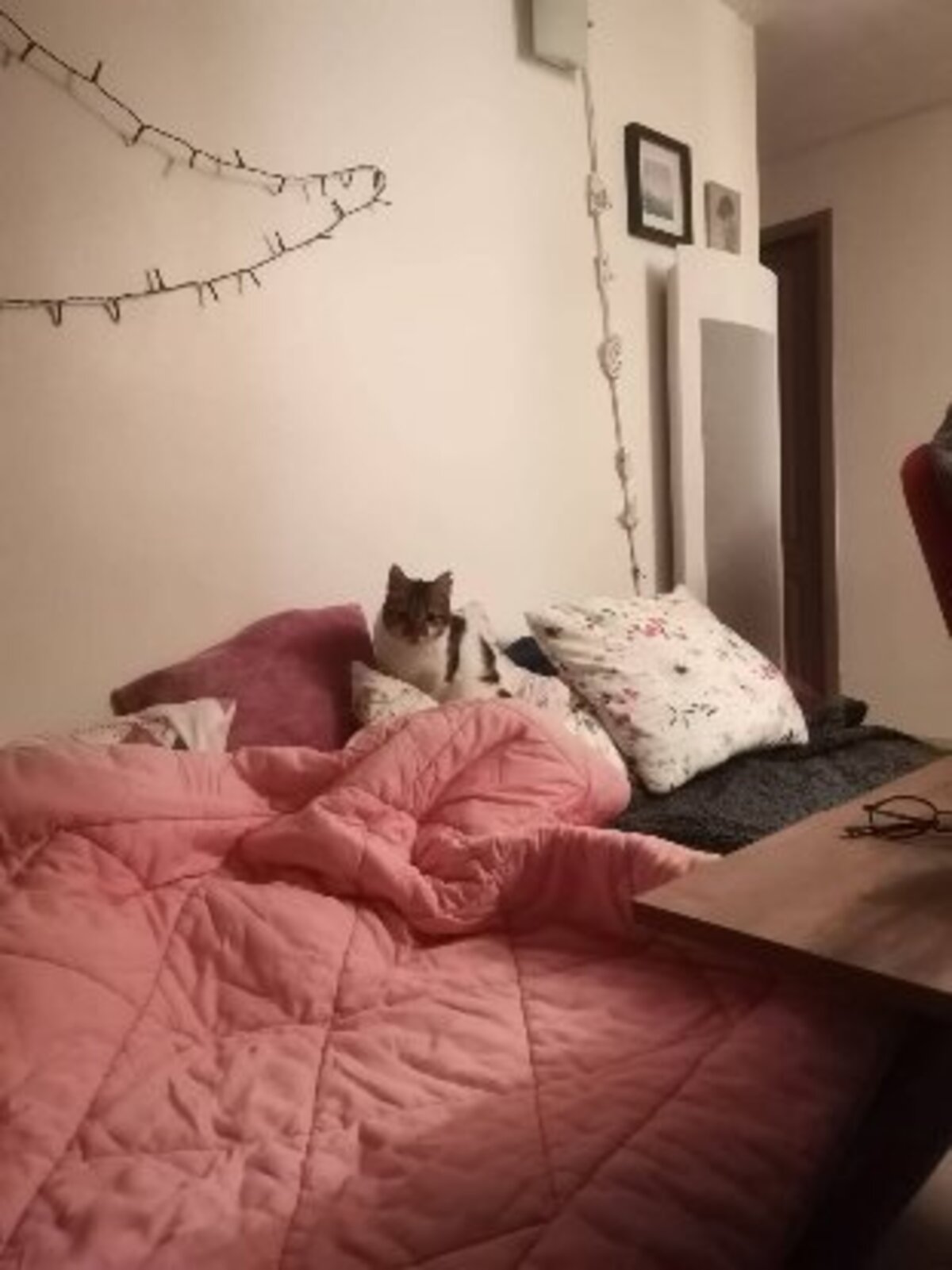 Adoption Duchesse