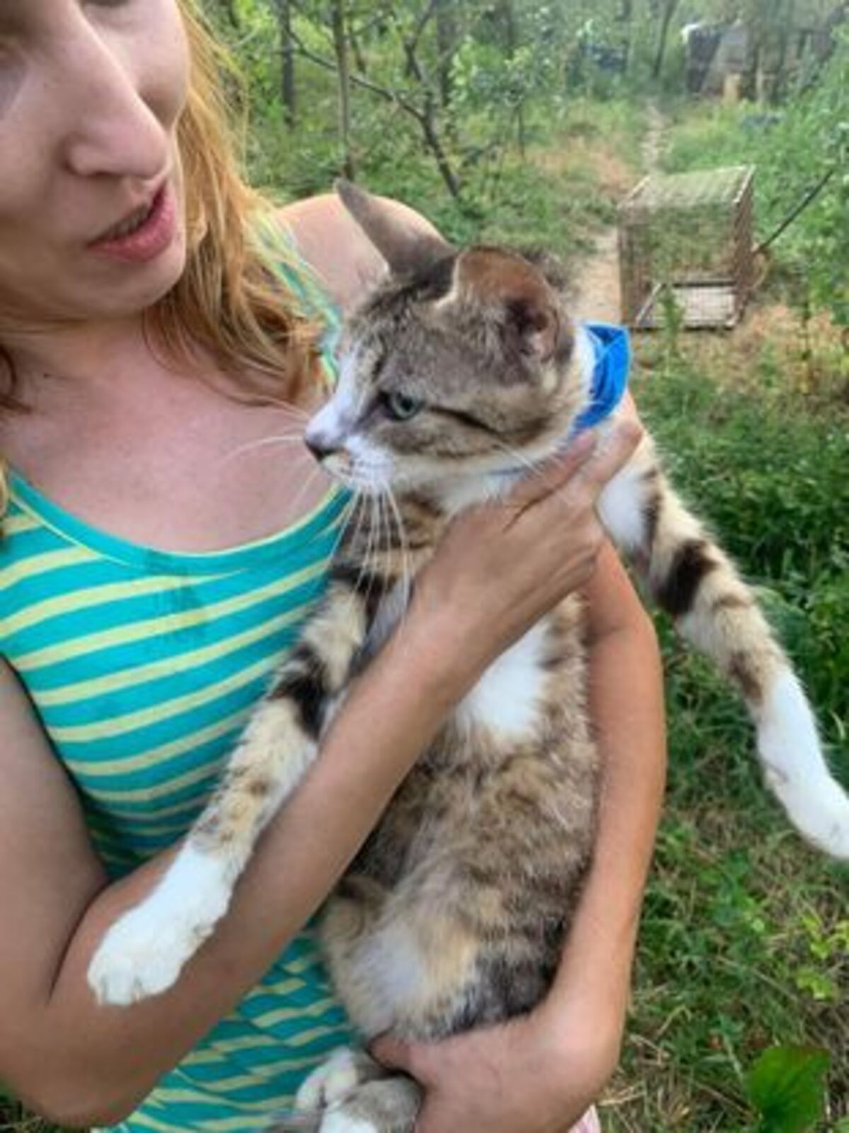 Adoption Elois