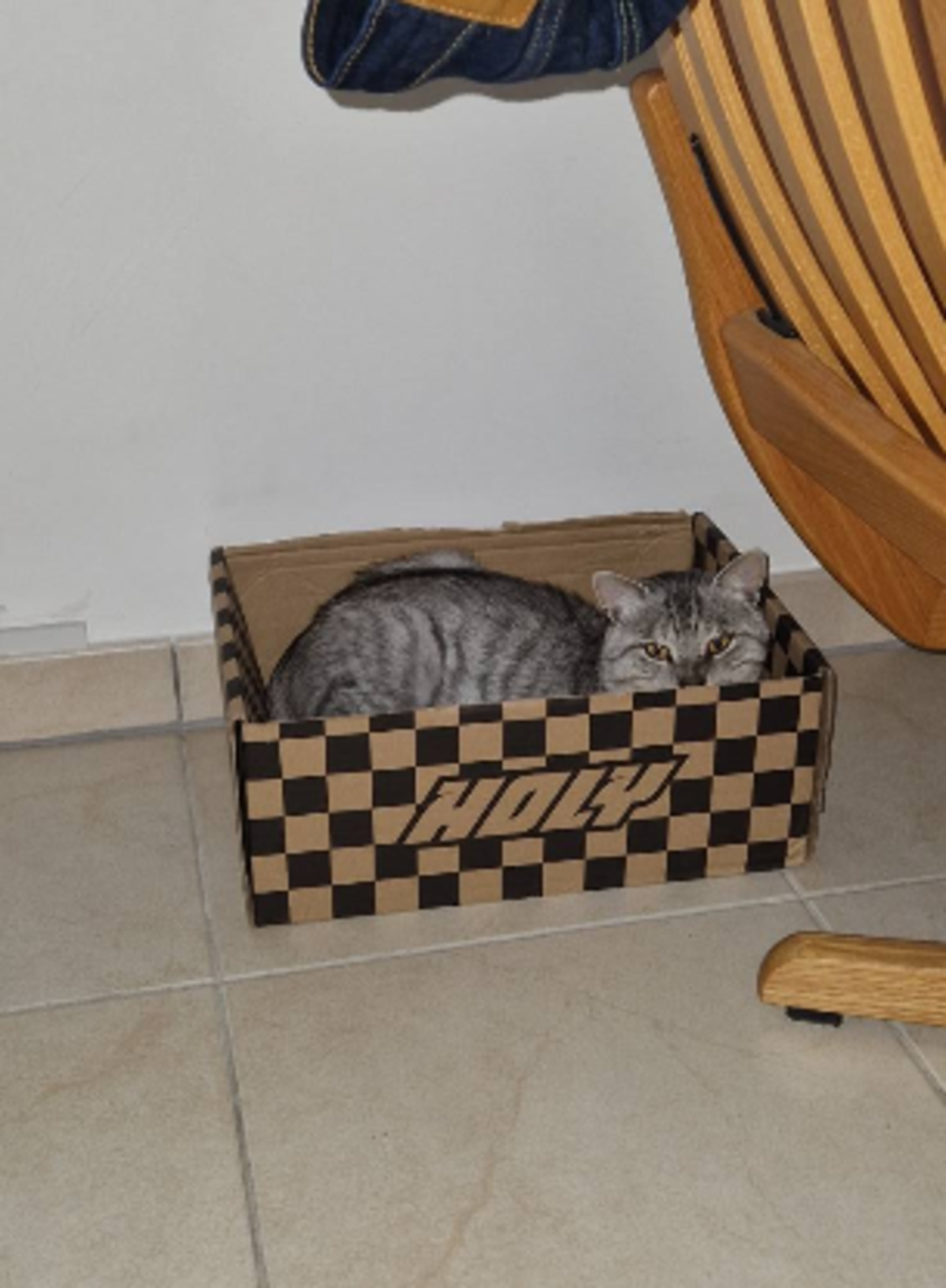 Adoption Faro