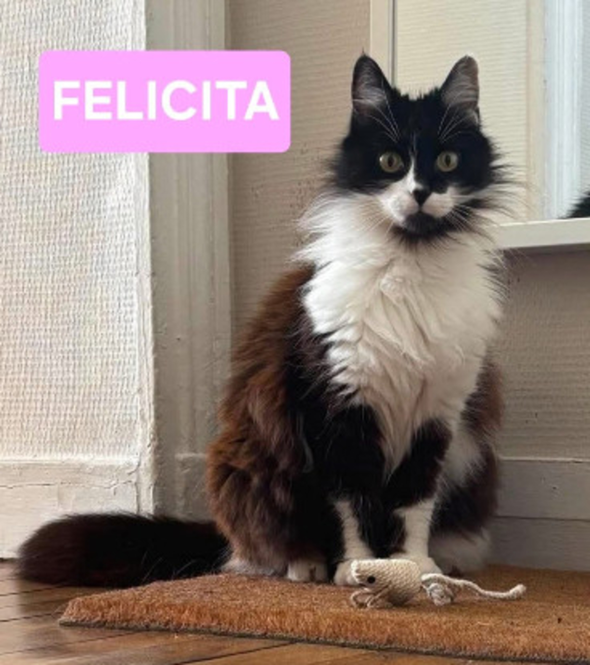 Adoption Félicita