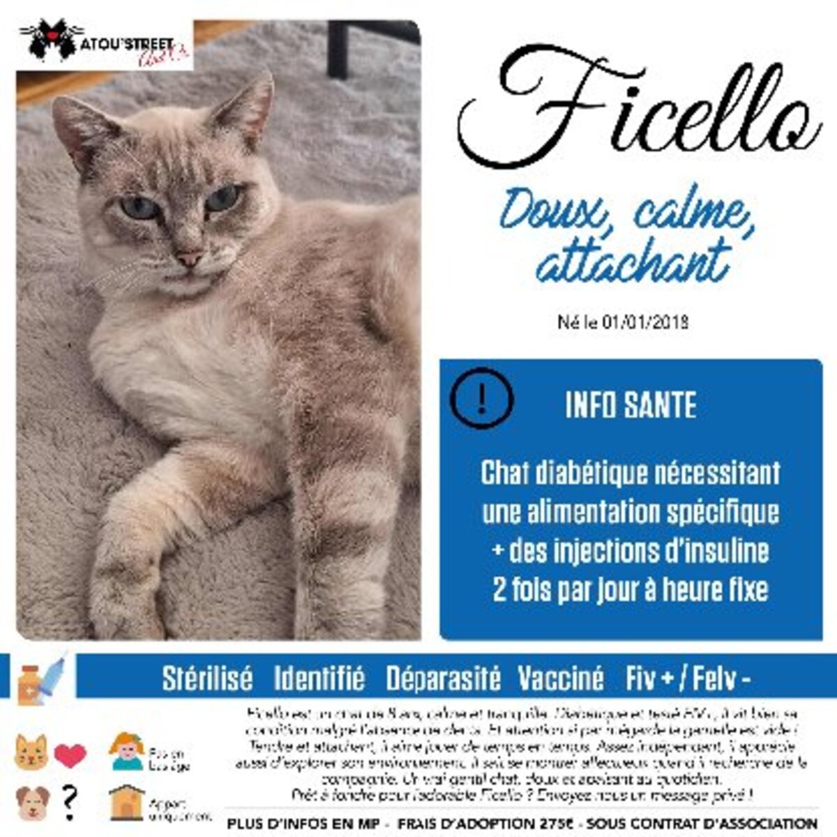 Adoption Ficello