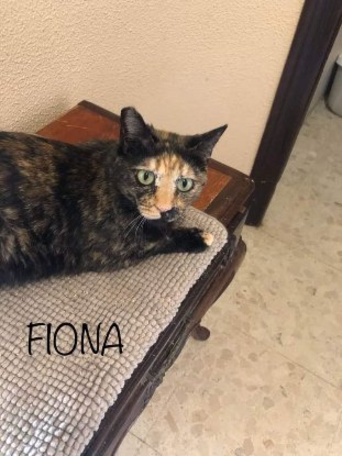 Adoption Fiona