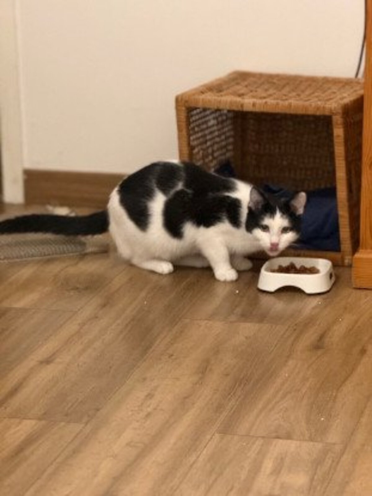 Adoption Florentin