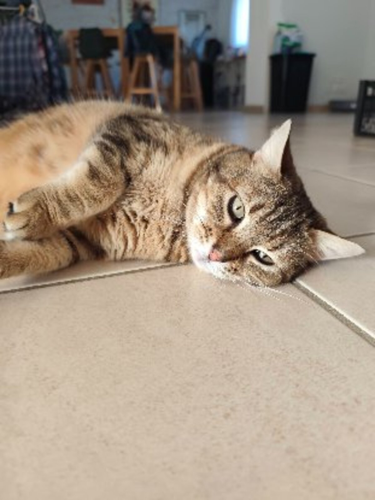 Adoption Gigi