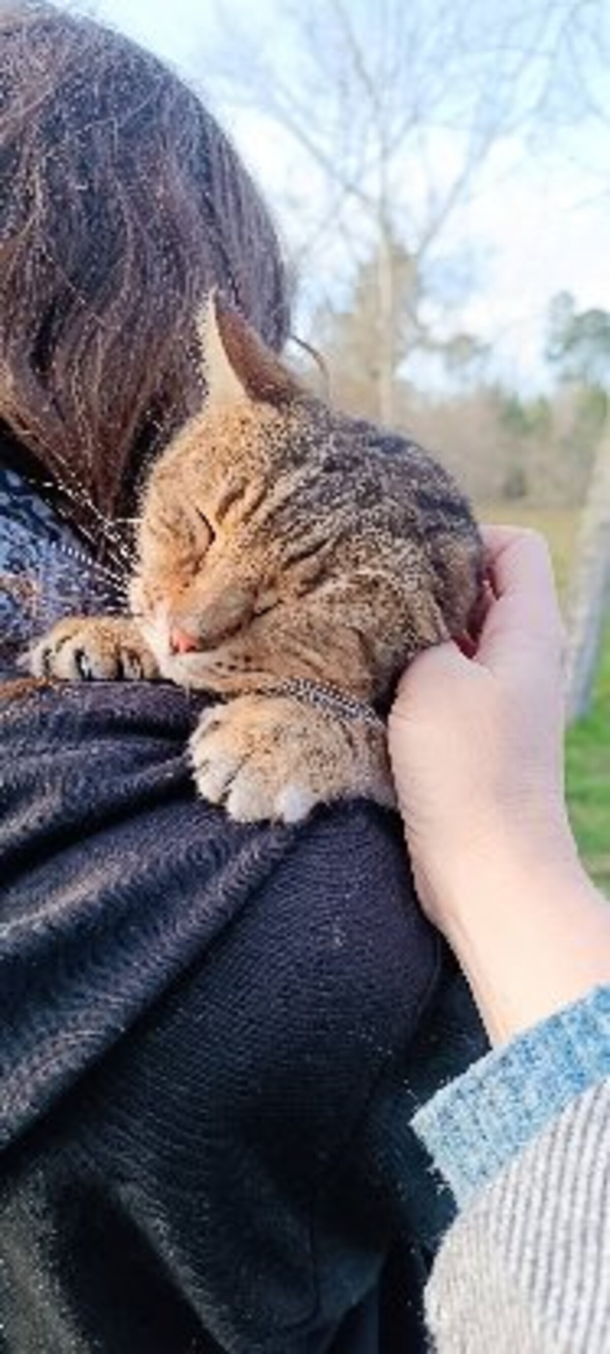 Adoption Gigi