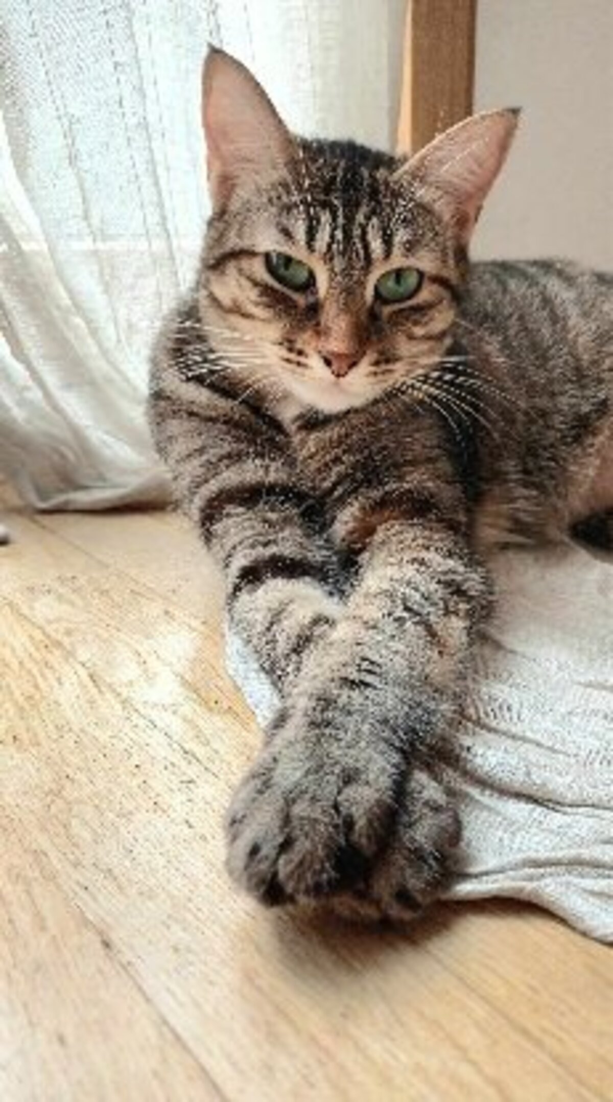 Adoption Gisele