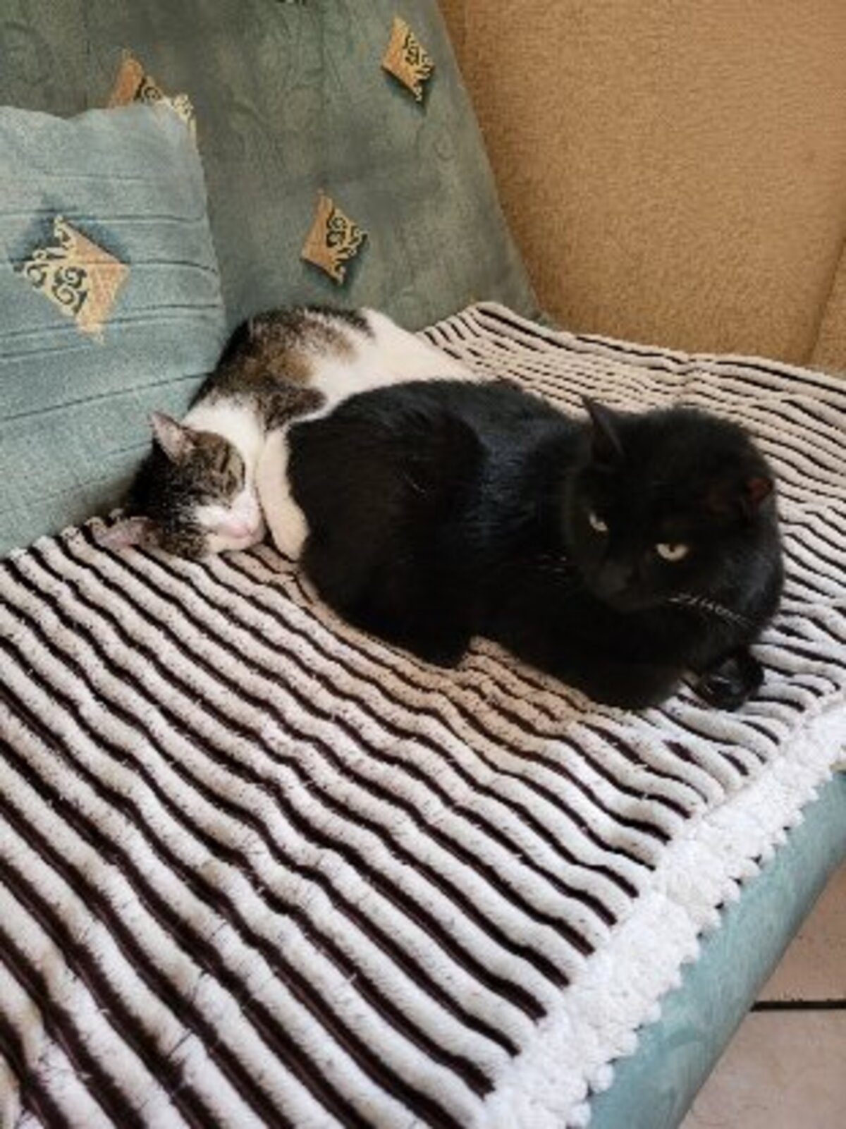 Adoption Heaven