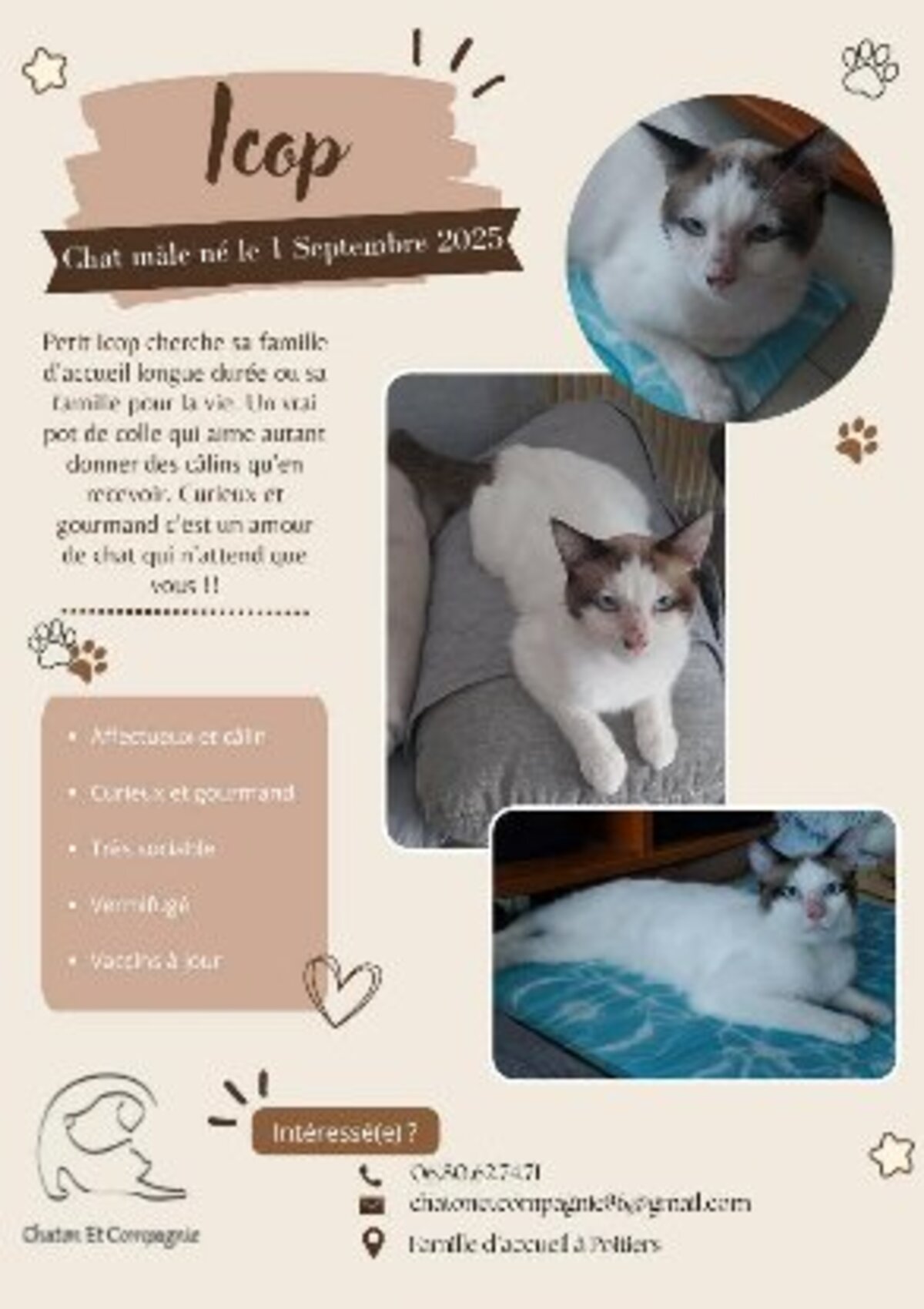 Adoption Icop