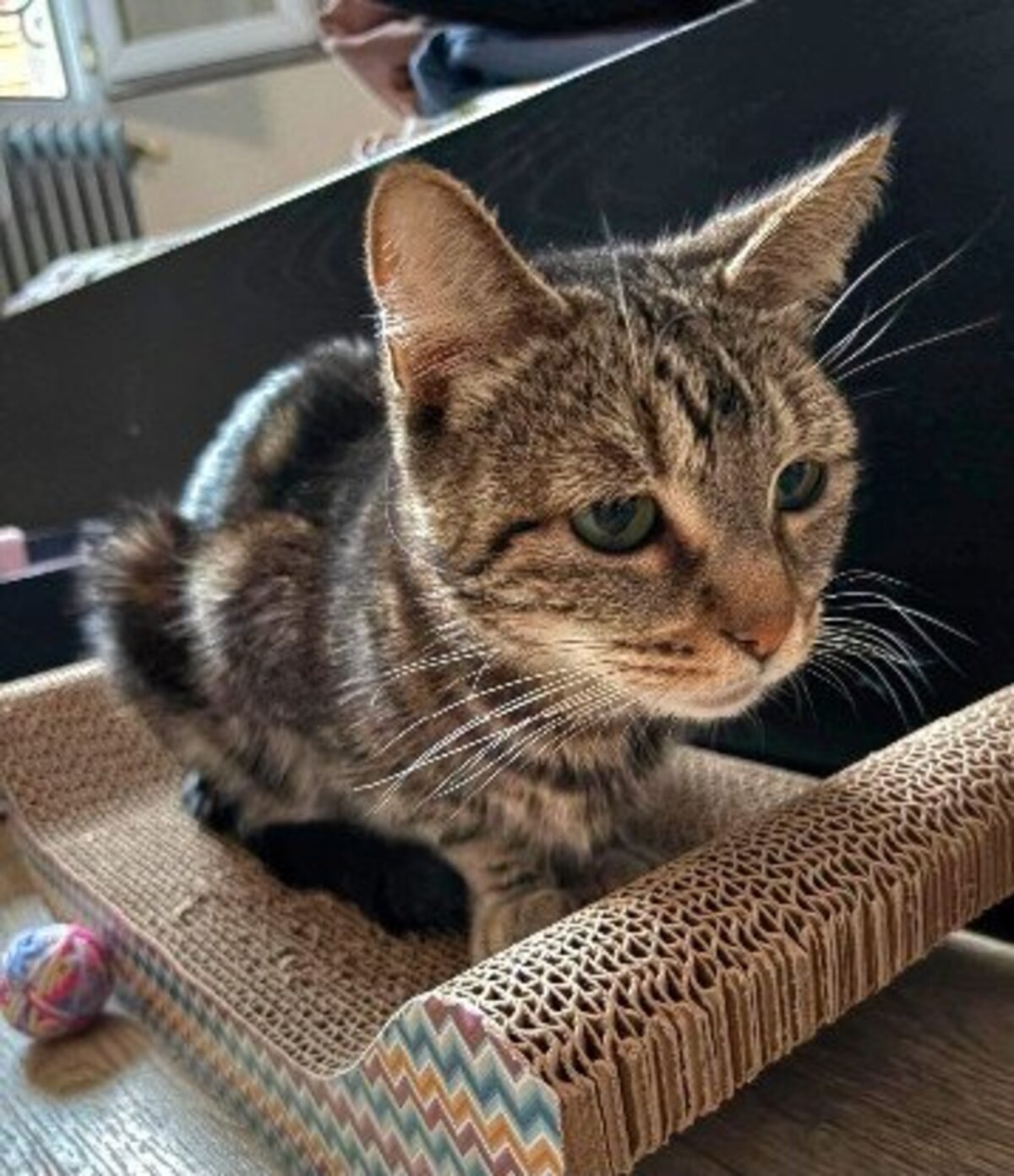 Adoption Iska