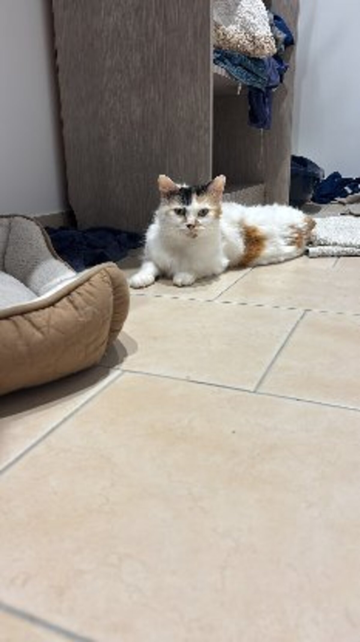 Adoption Kalissy