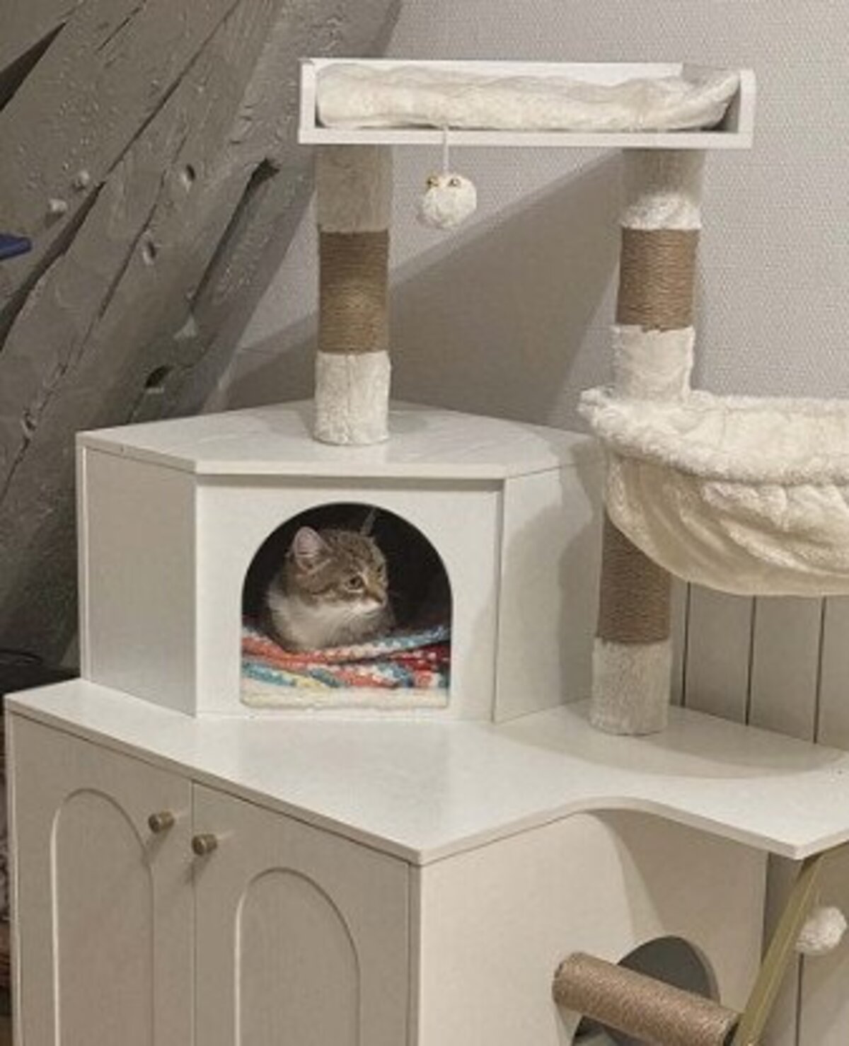 Adoption Kitty