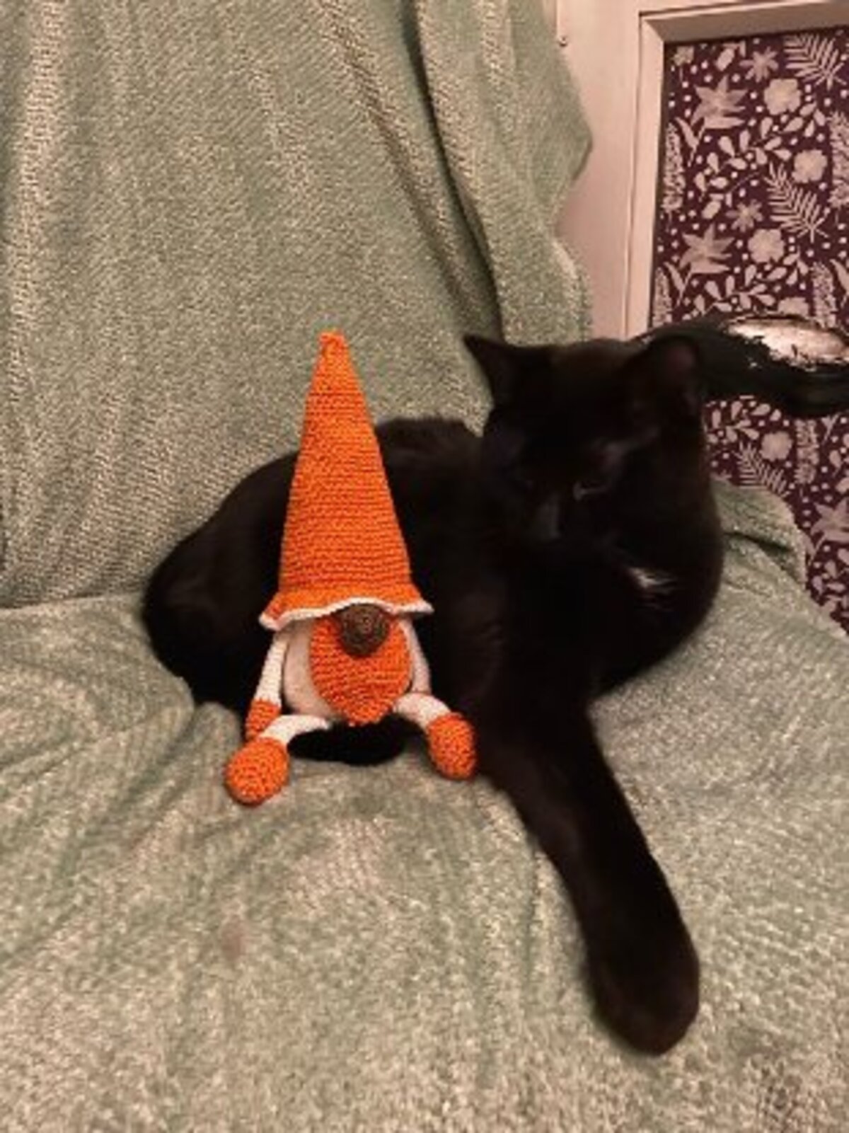 Adoption Kuro