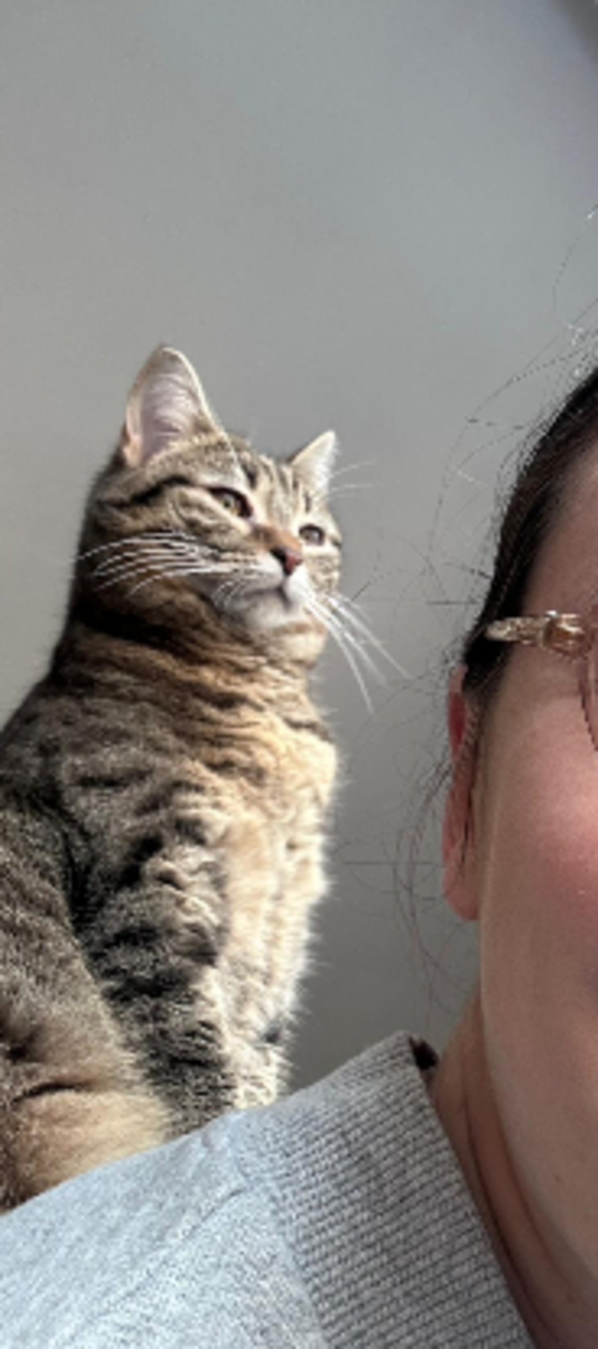Adoption Lilie