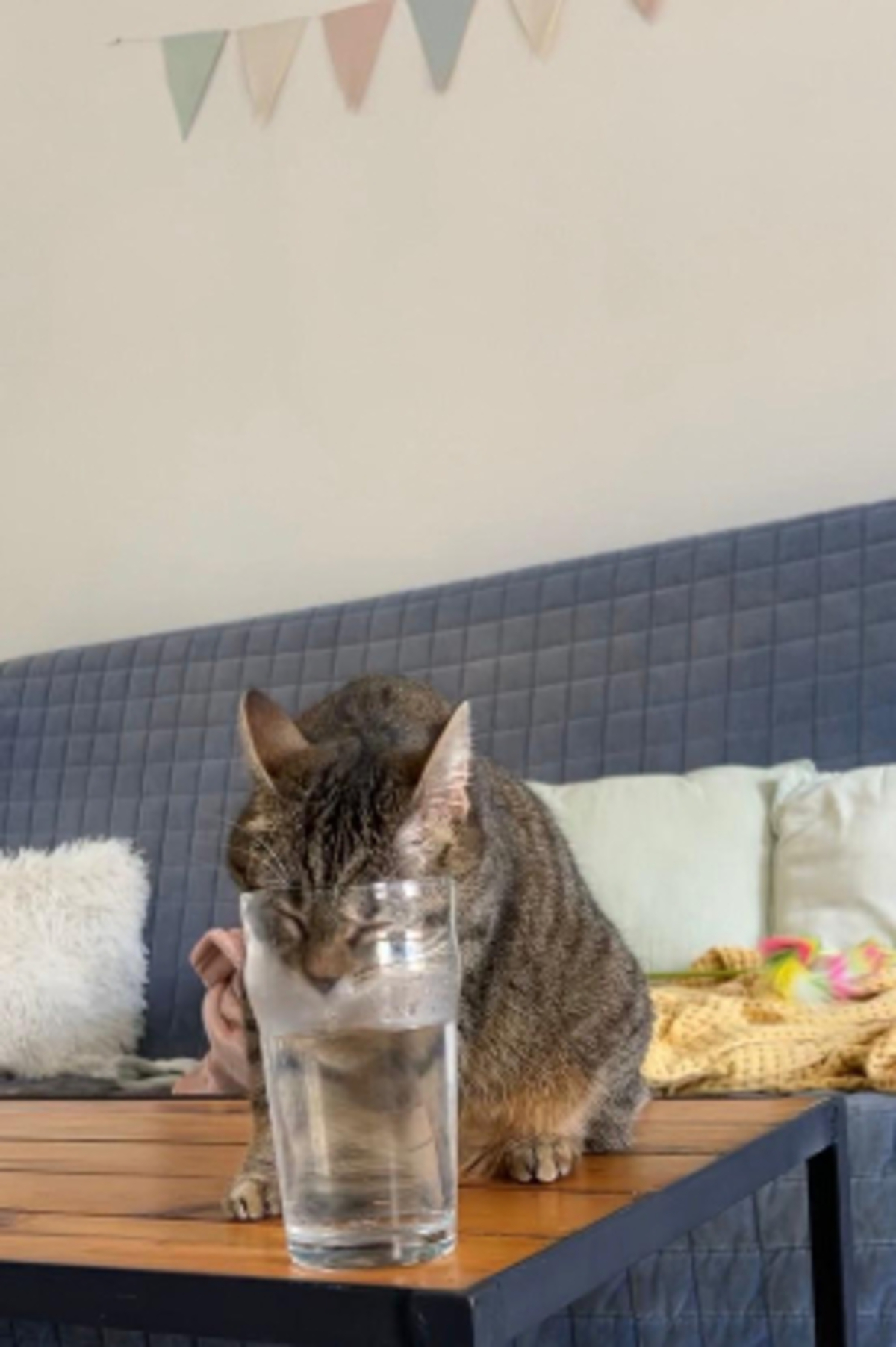 Adoption Lilie