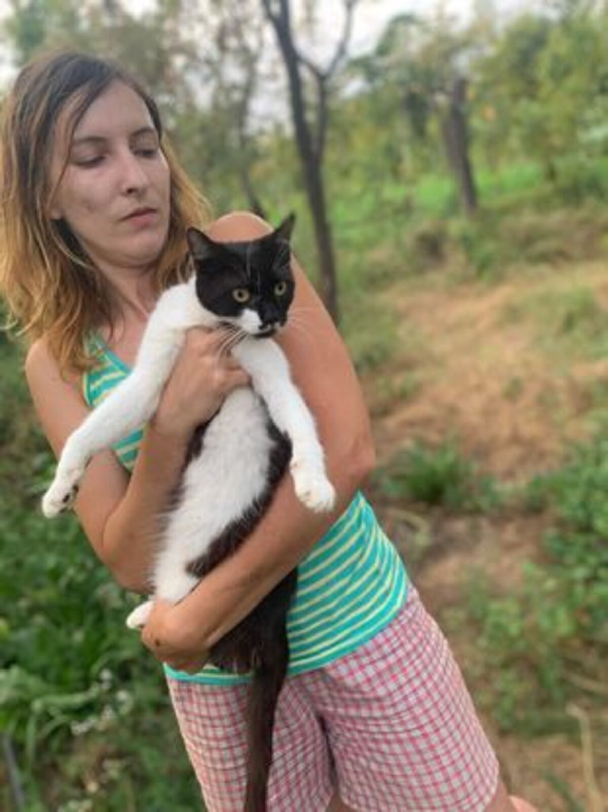 Adoption Lima