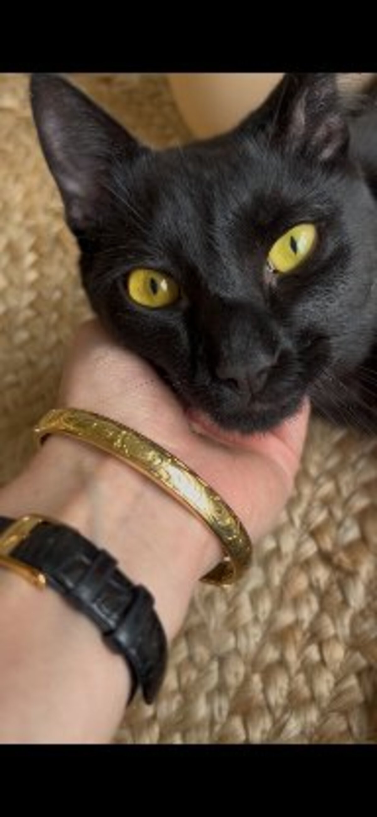 Adoption Ludwig