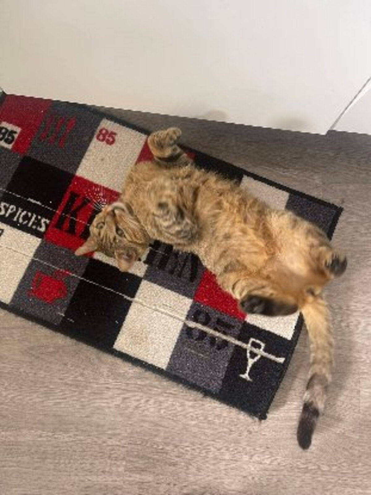 Adoption Macchiato