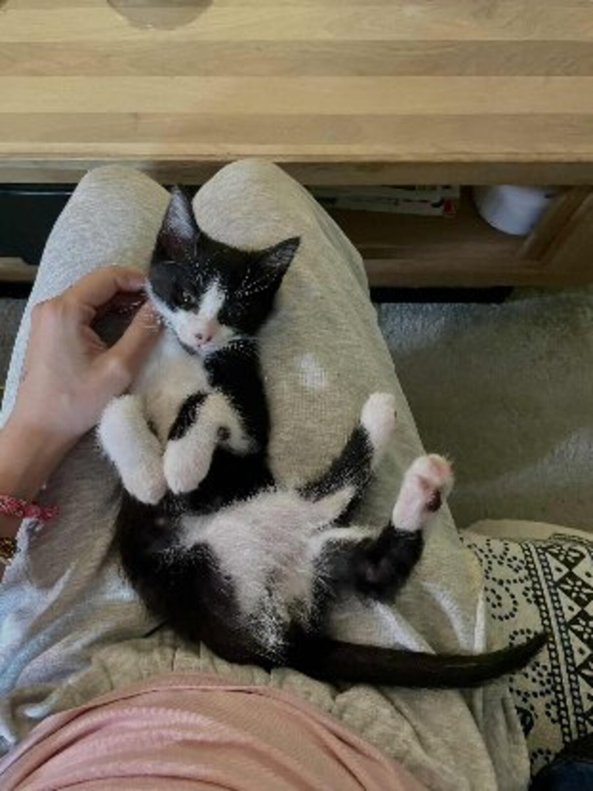 Adoption Maki