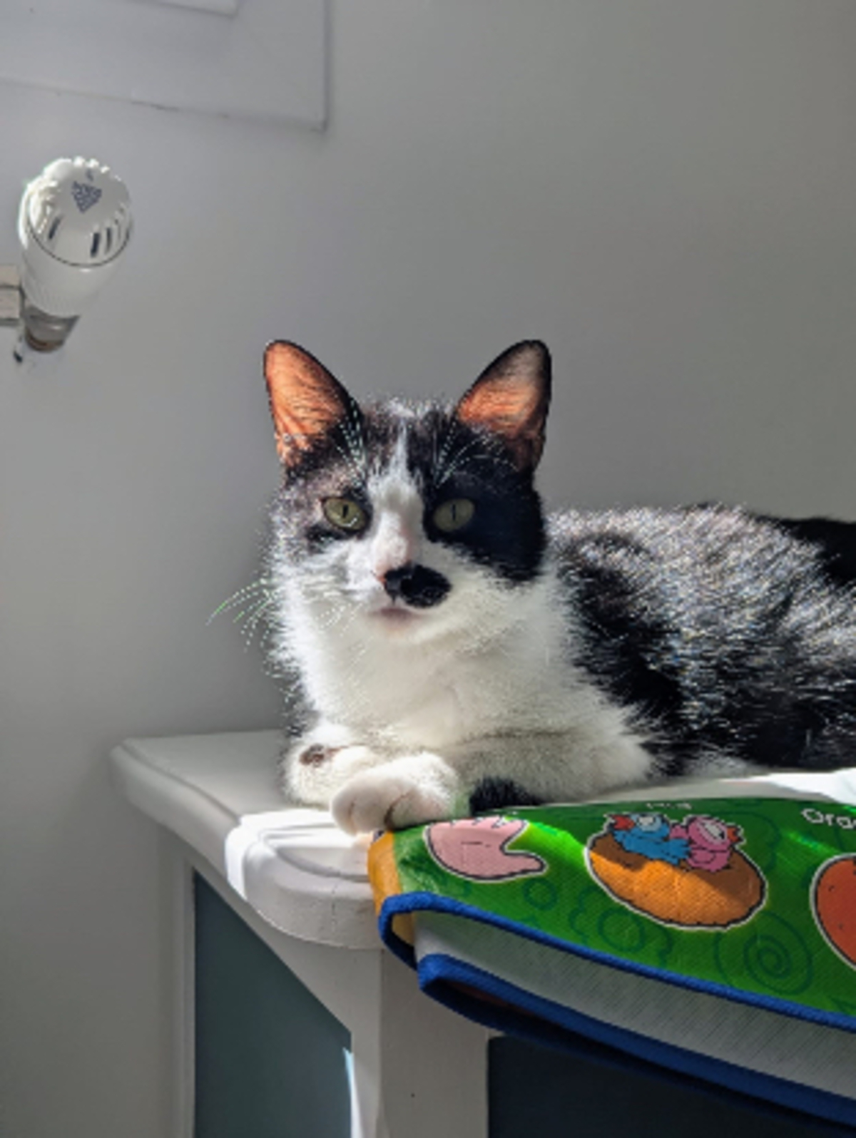 Adoption Makita