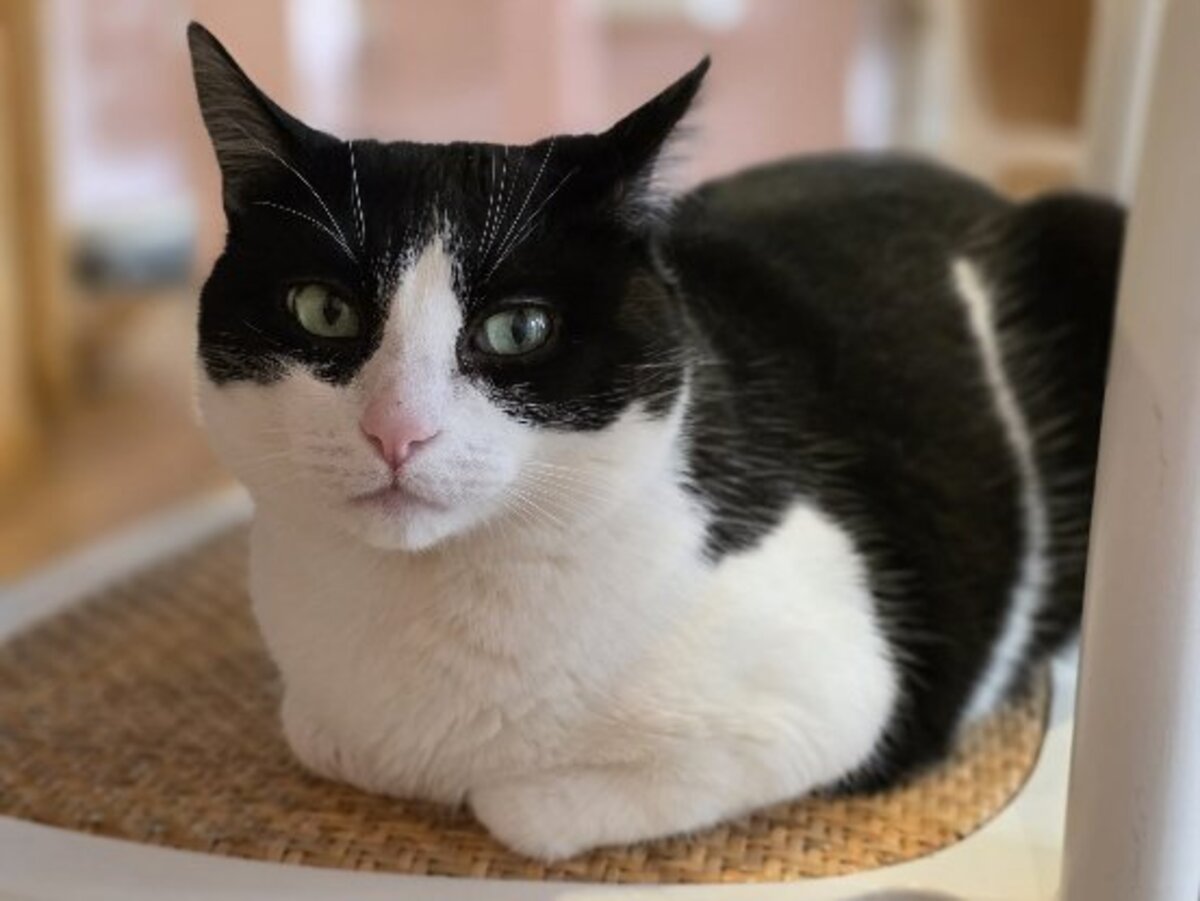 Adoption Maroussia
