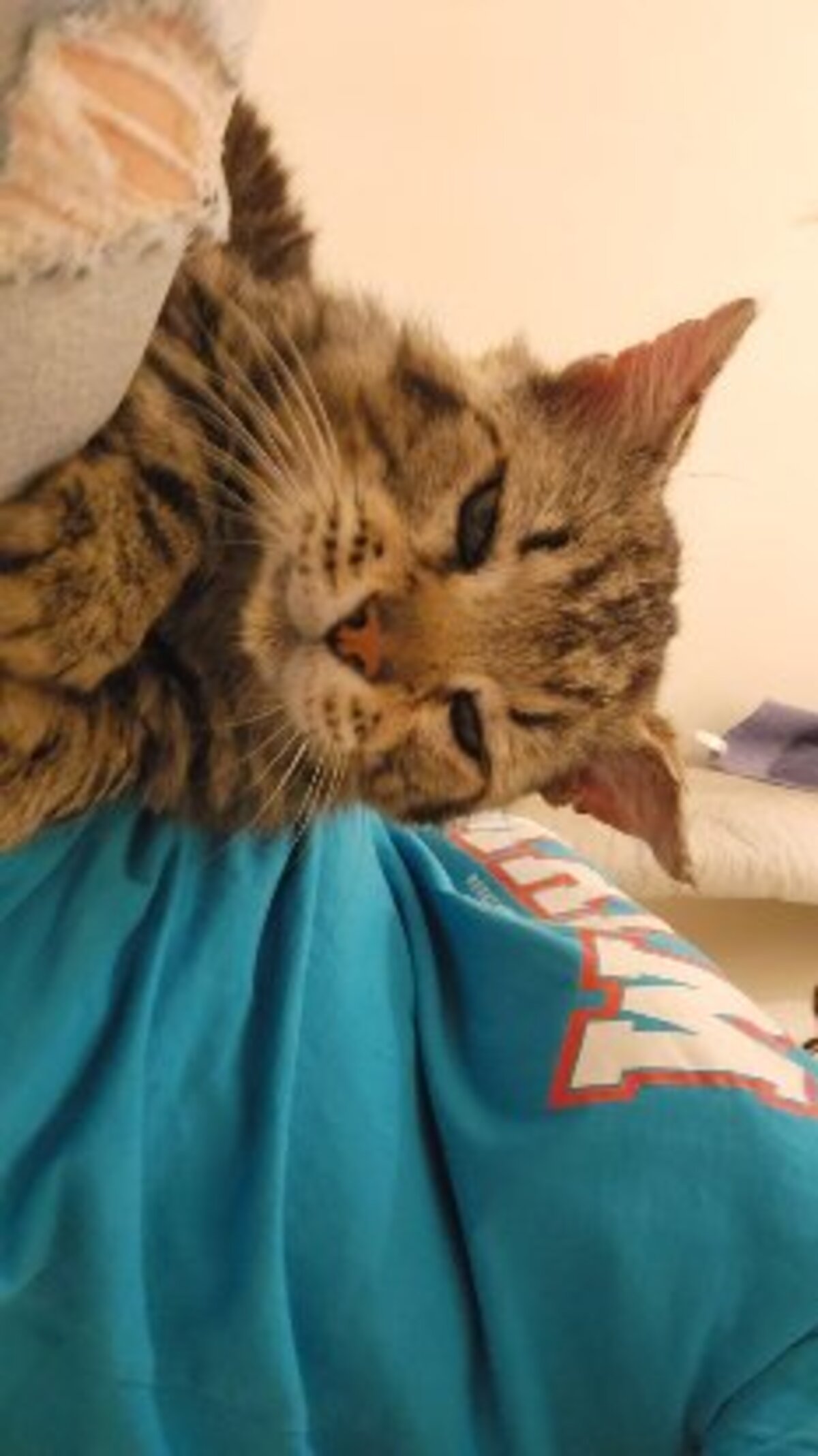 Adoption Muffin