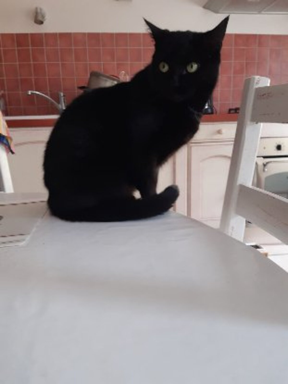 Adoption Noëla