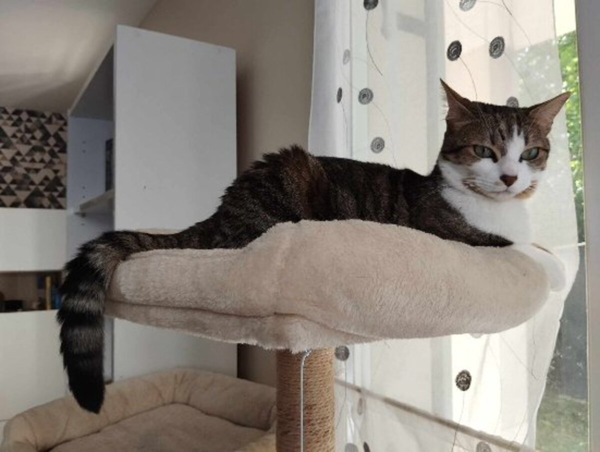 Adoption Oksana