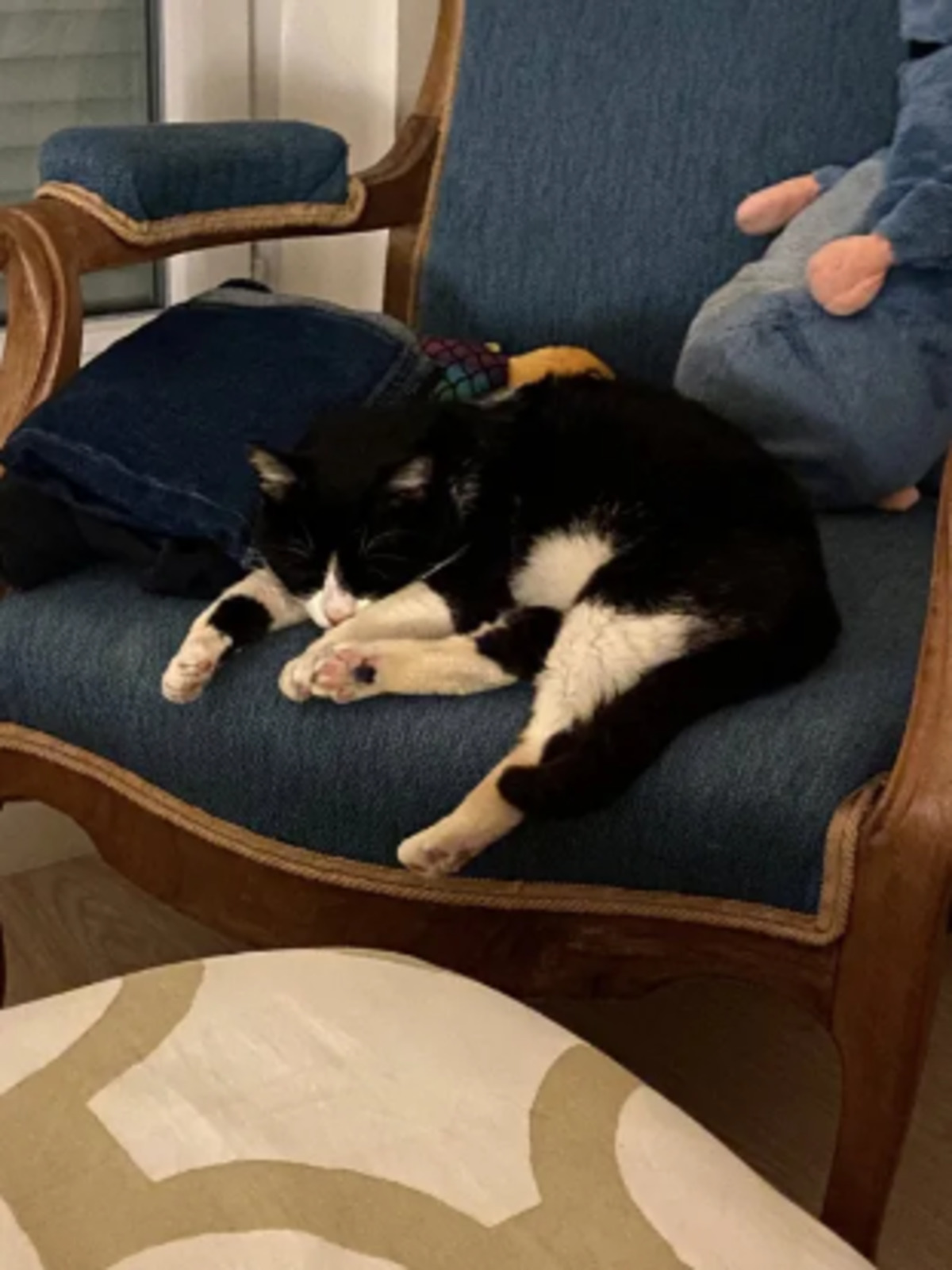 Adoption Paddington