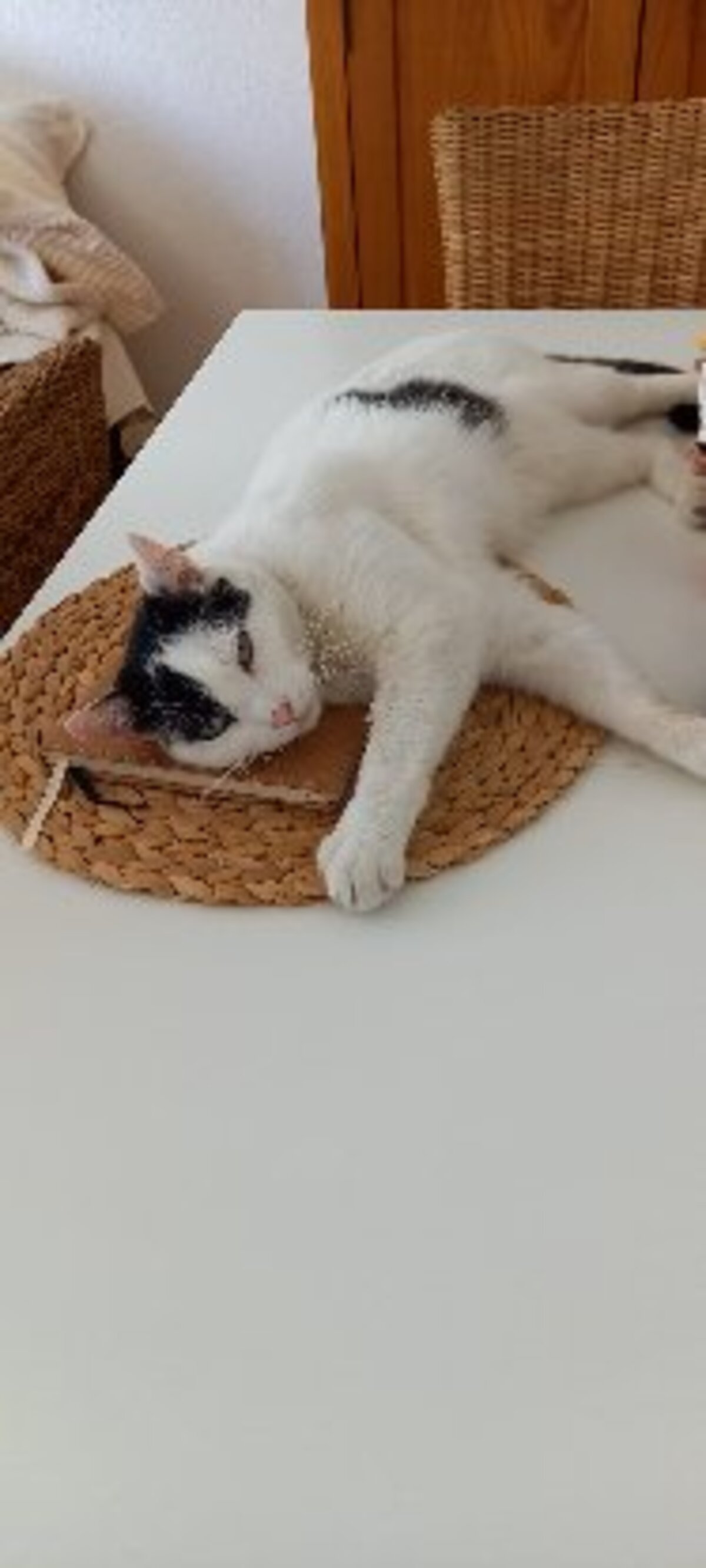 Adoption Peaky