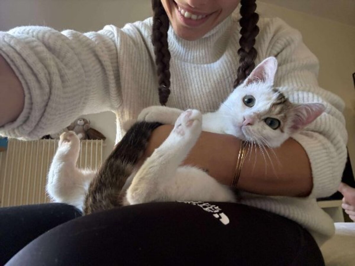 Adoption Petit pain