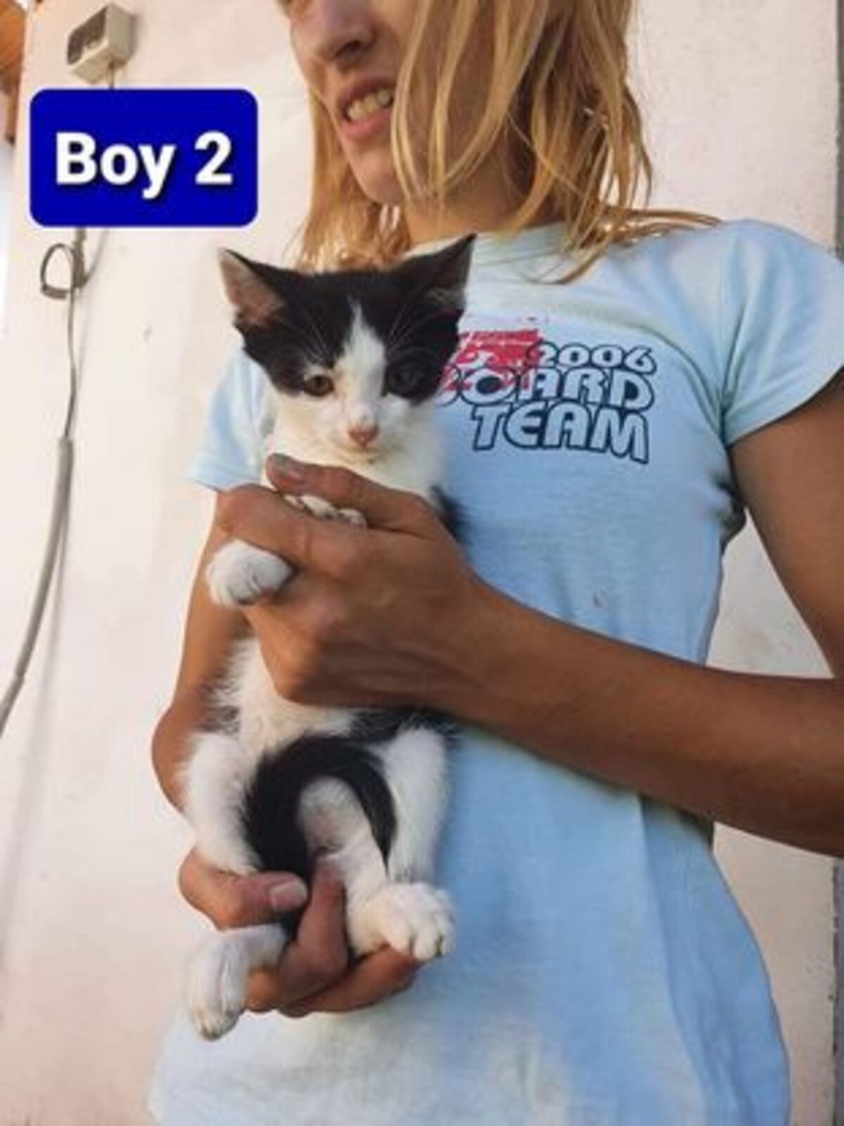 Adoption Pimousse