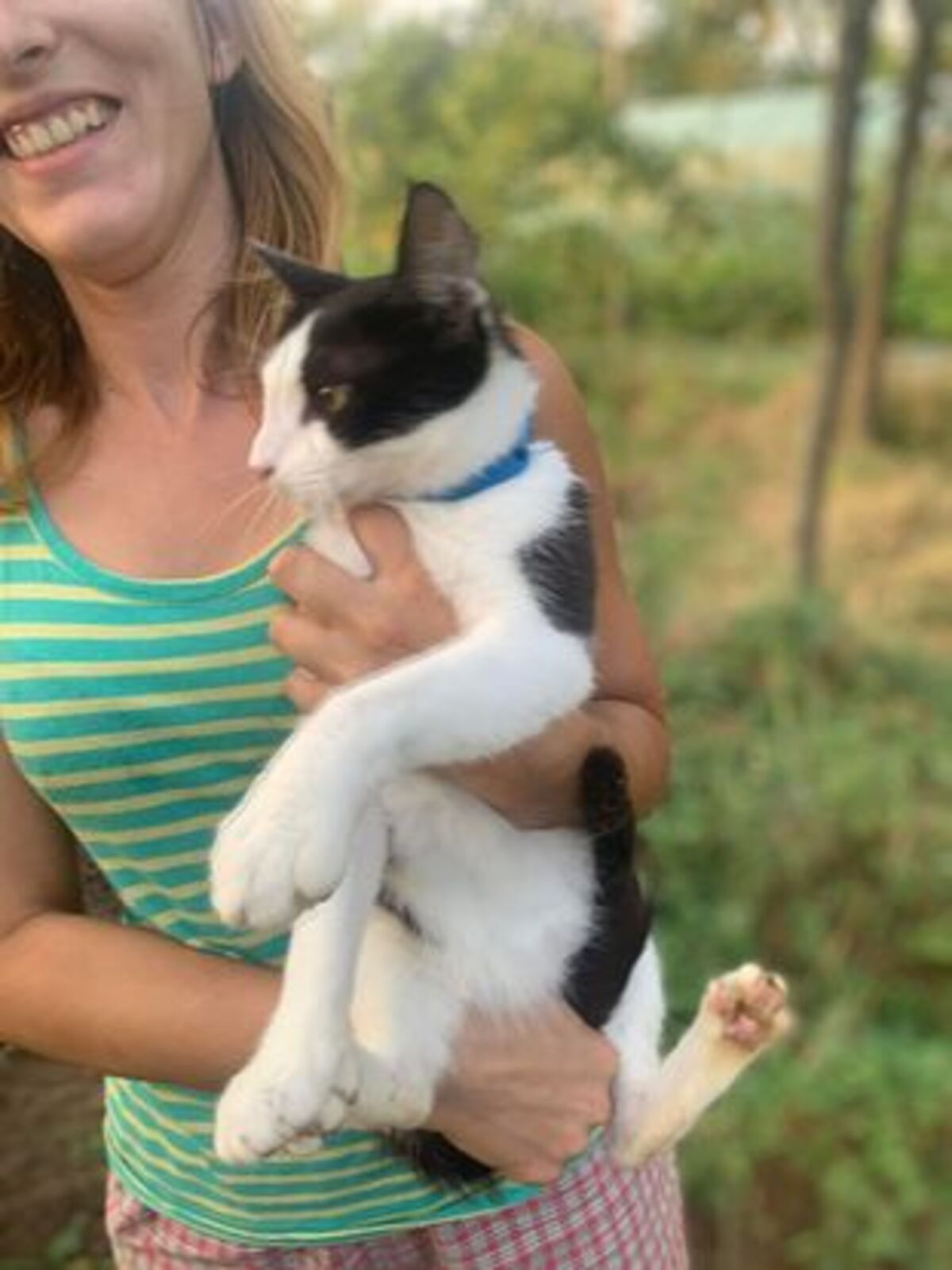 Adoption Pimousse