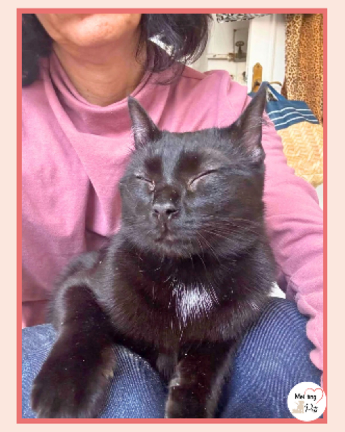 Adoption Regaliz