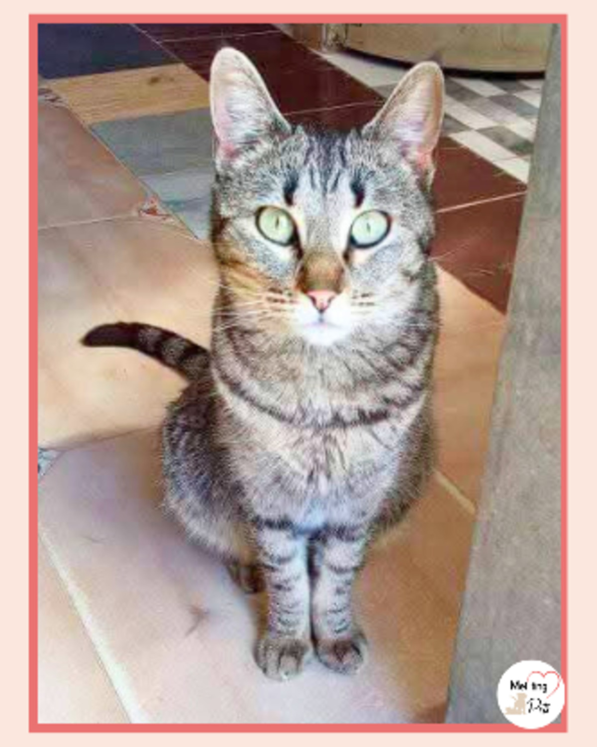 Adoption Reisy