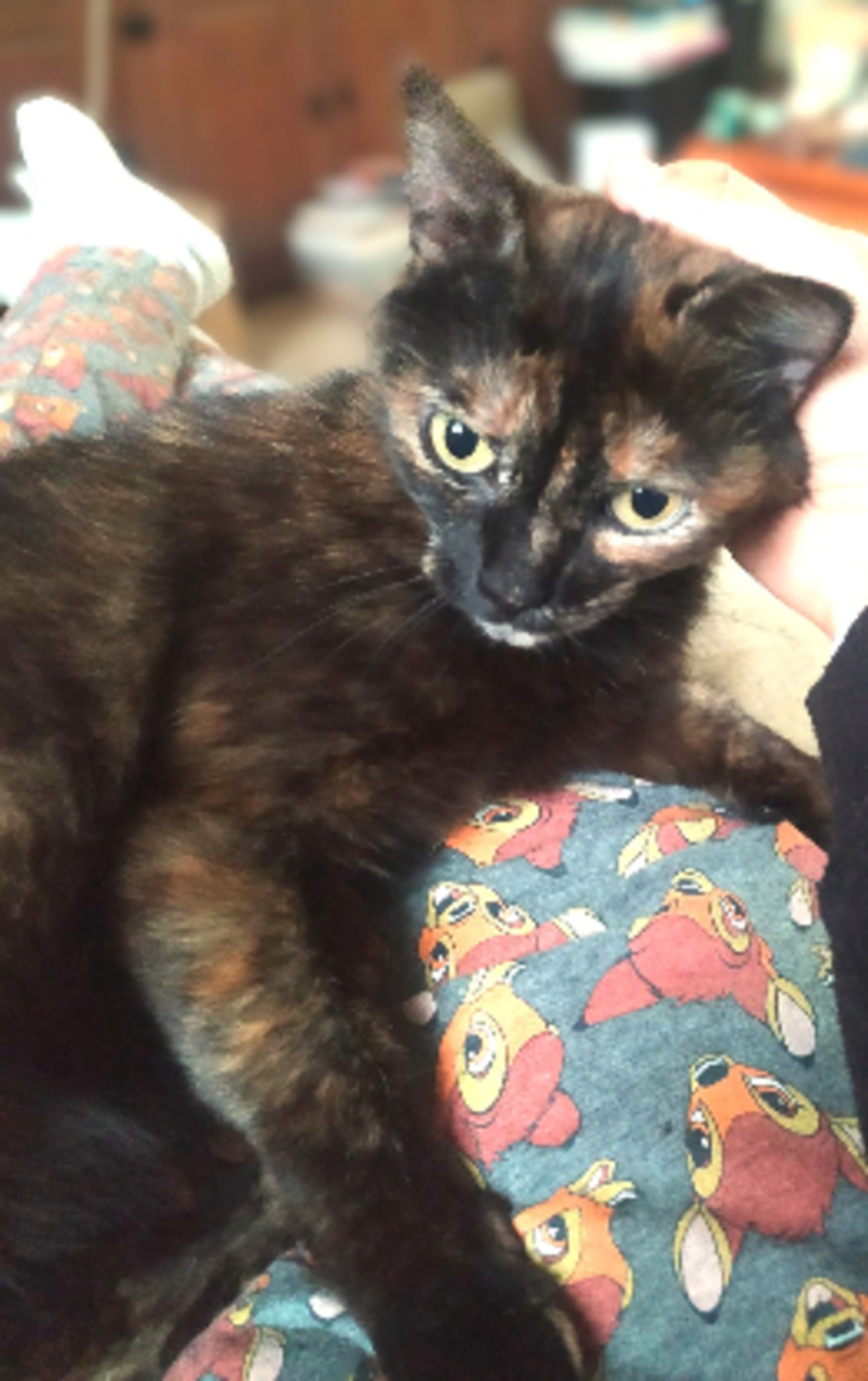 Adoption Rita