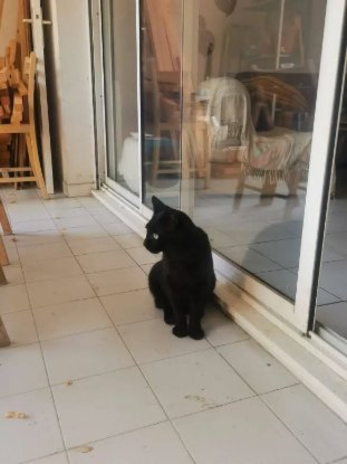Adoption Rocket