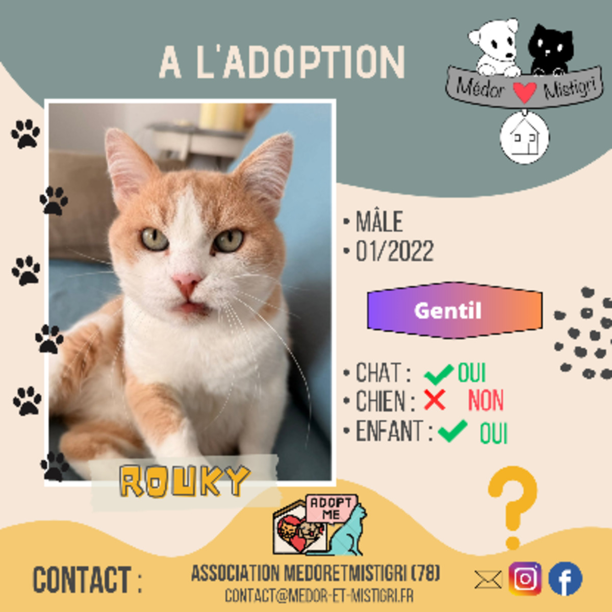 Adoption Rouky