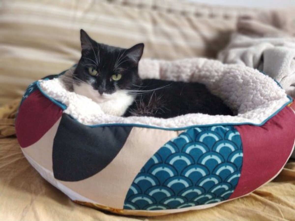 Adoption Salomé