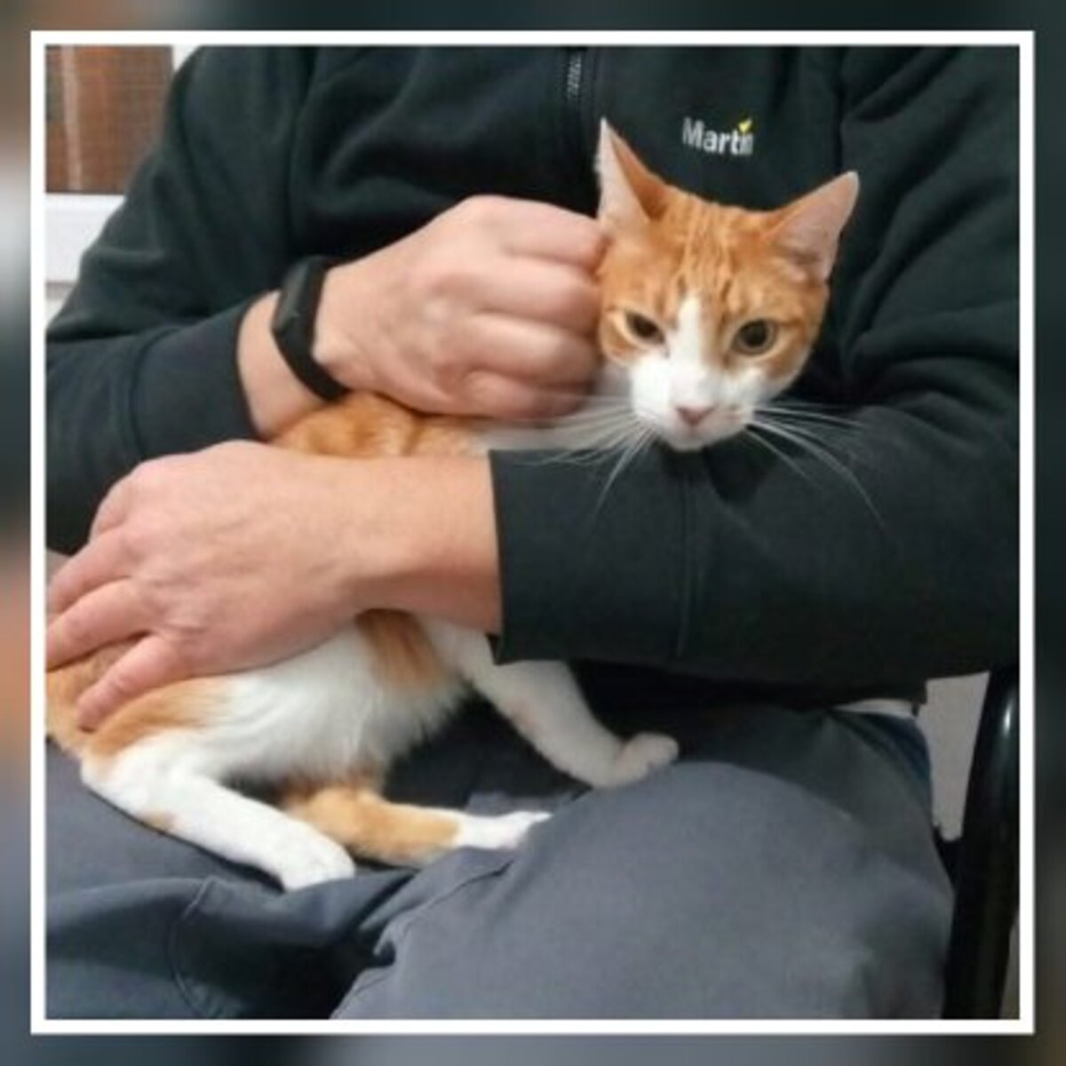 Adoption Sam