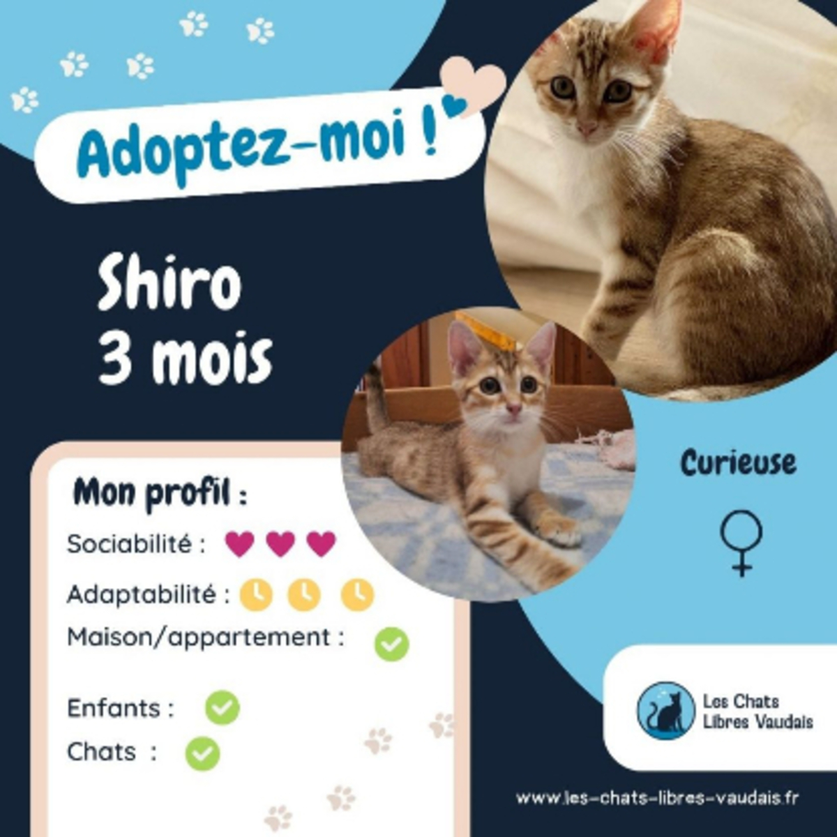 Adoption Shiro