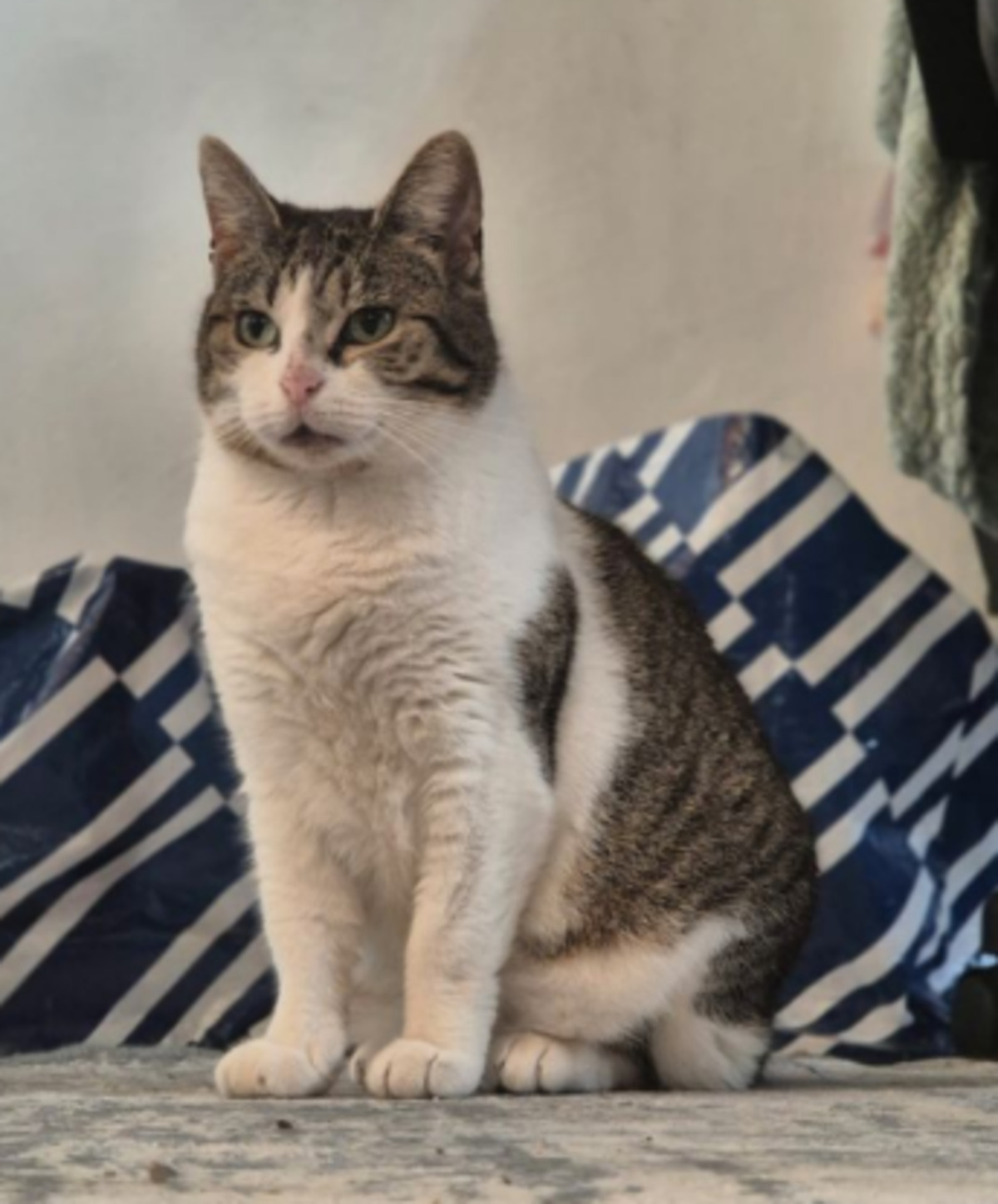 Adoption Shiva