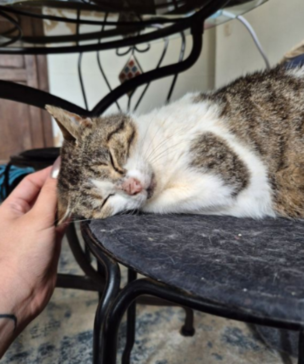 Adoption Shiva