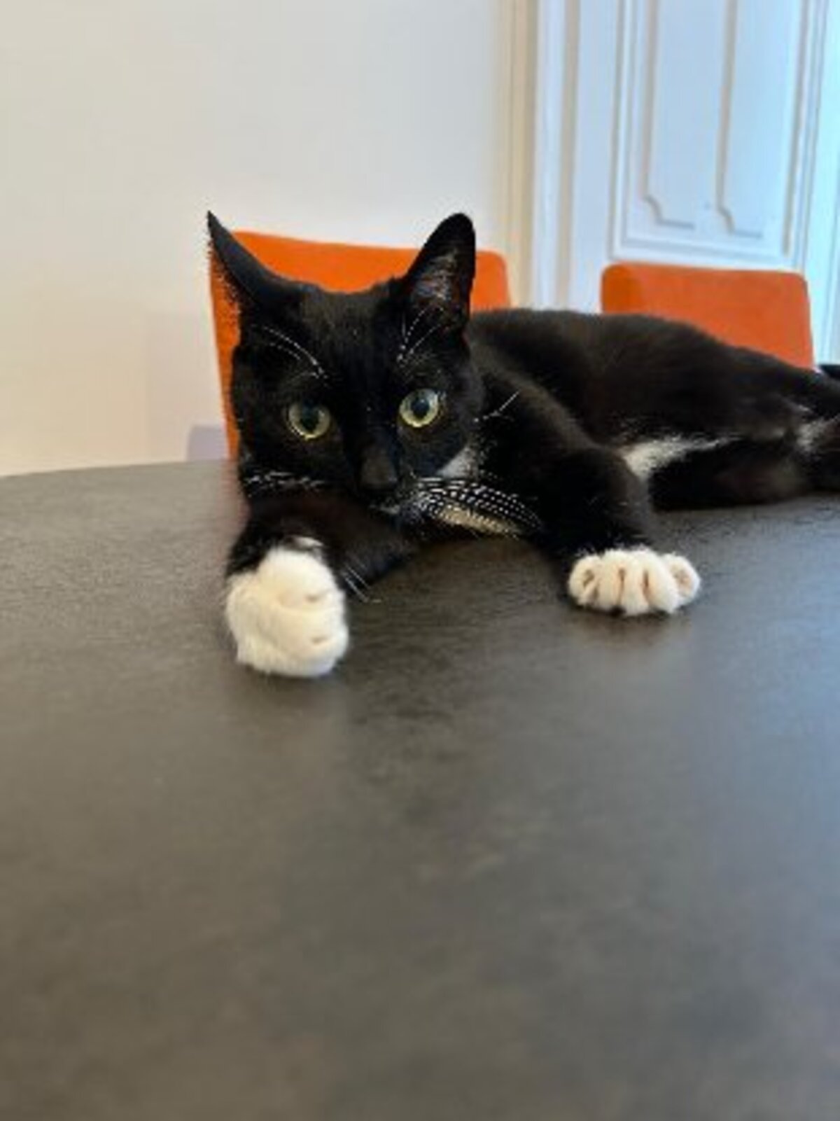 Adoption Socks